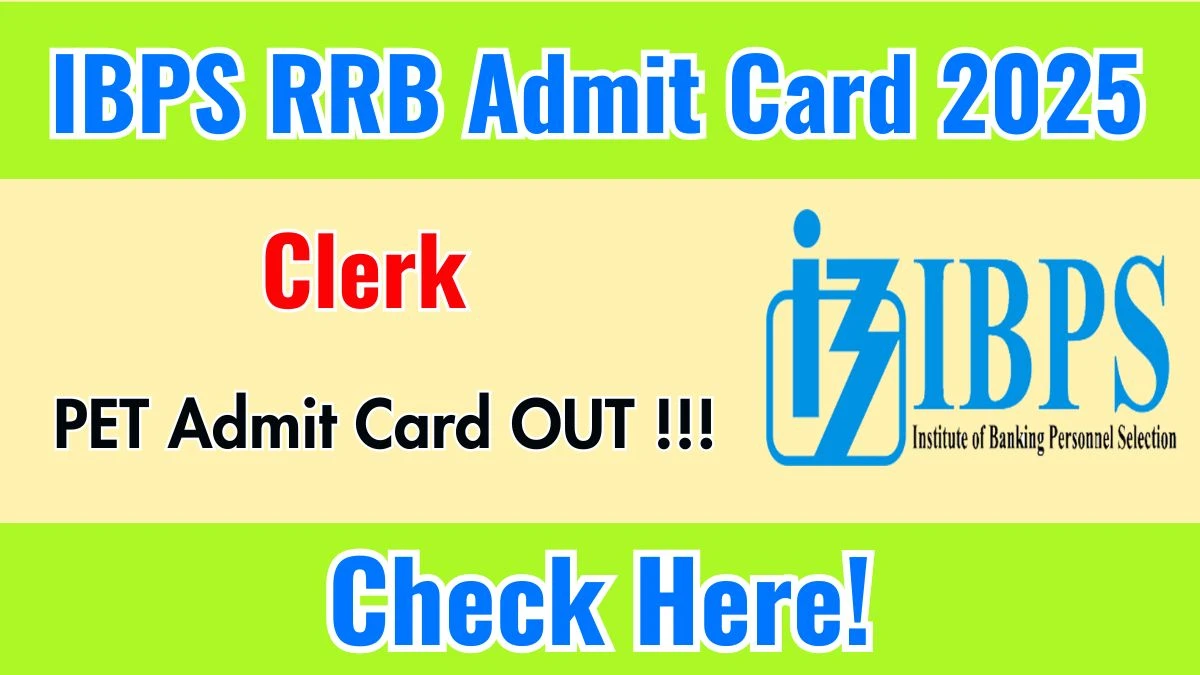 Download IBPS RRB Clerk Admit Card 2025 OUT at ibps.in