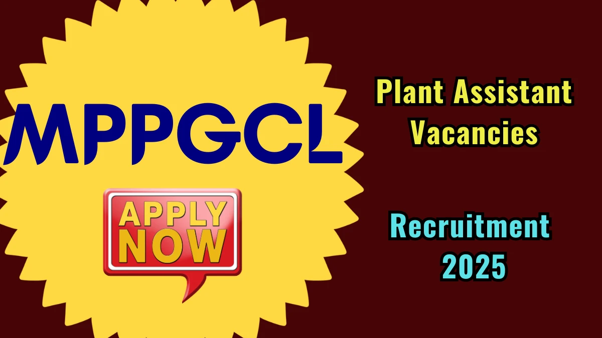 MPPGCL Plant Assistant Recruitment 2025: Apply for 90 Posts