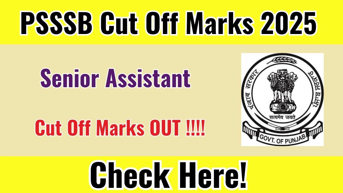 PSSSB Senior Assistant Cut Off 2025 OUT at sssb.punjab.gov.in Check Category Wise Marks Download PDF