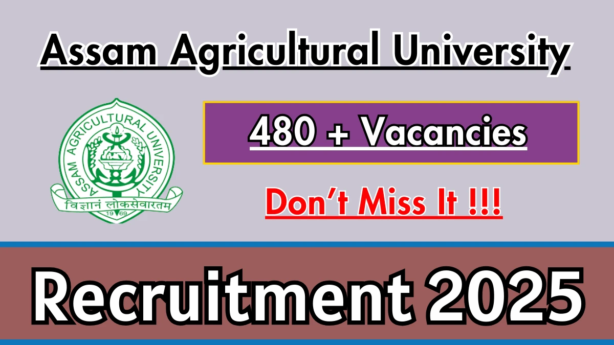 AAU Deputy Project Director, Accountant cum Clerk and More Recruitment 2025: Apply for 489 Posts