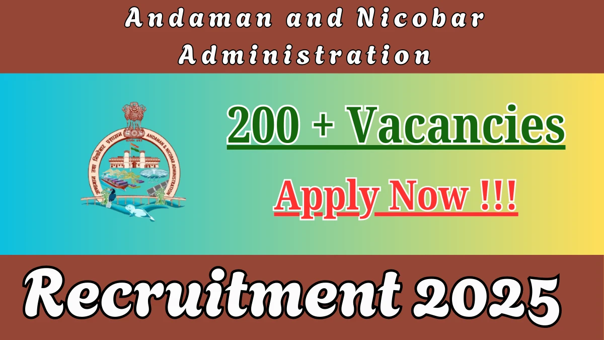 Andaman and Nicobar Administration Junior Engineer, Accountant and More Recruitment 2025: Apply for 207 Posts
