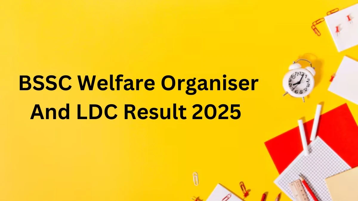 BSSC Welfare Organiser And LDC Result 2025 OUT at bssc.bihar.gov.in - Download Link Here
