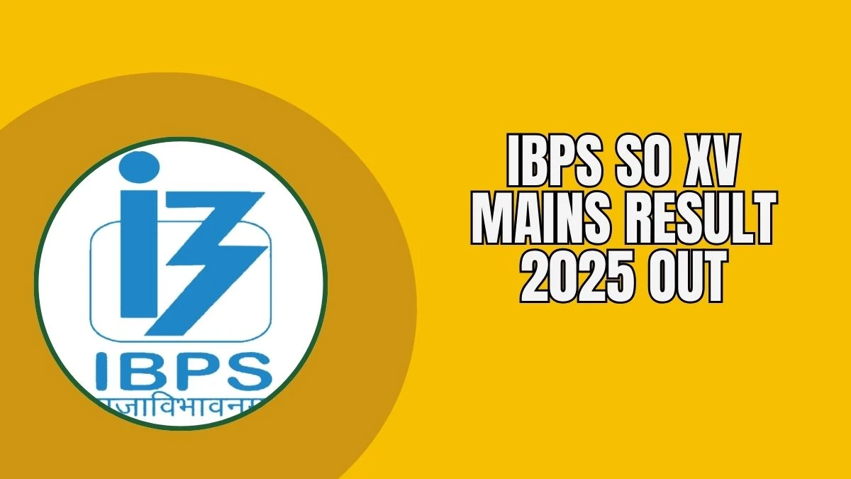 IBPS Specialist Officer Result 2025 OUT at ibps.in - Download Link Here