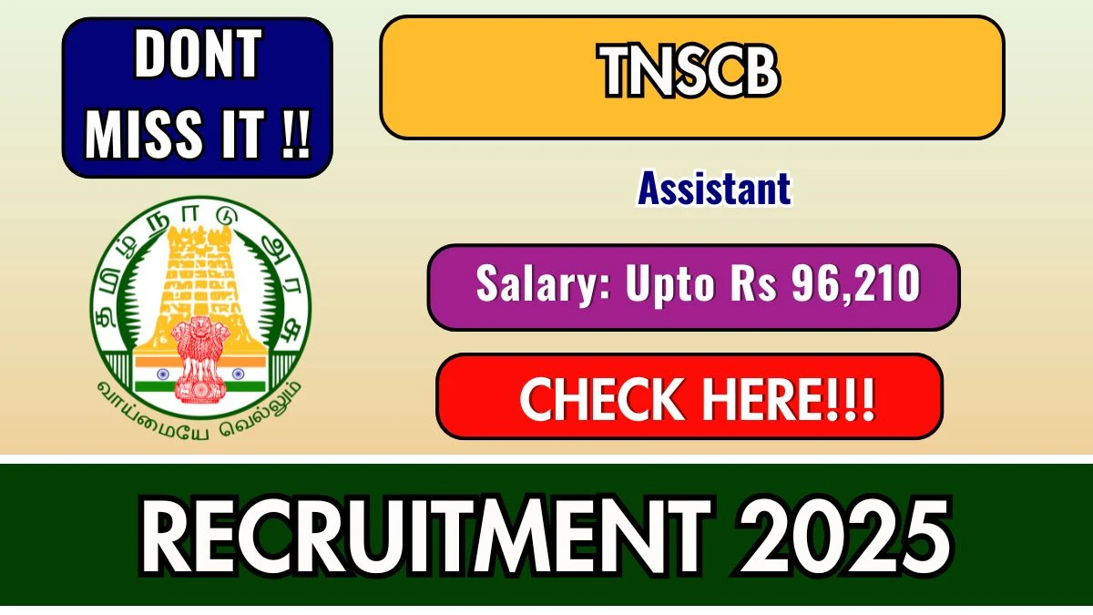 TNSCB Assistant Recruitment 2025: Apply for 50 Posts